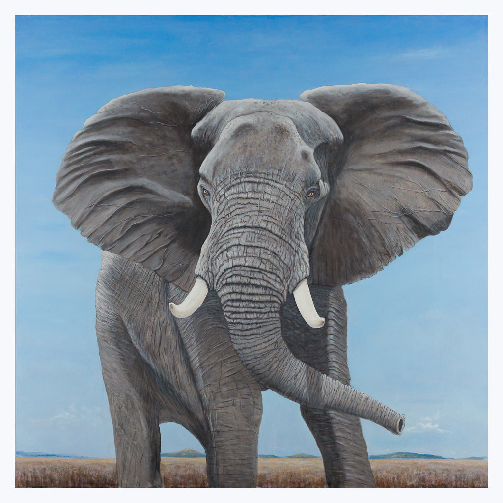 Bild "Elefantenbulle" - Öl auf Leinwand-Wandbilder-Mario Bitzer-UpH Kunstladen