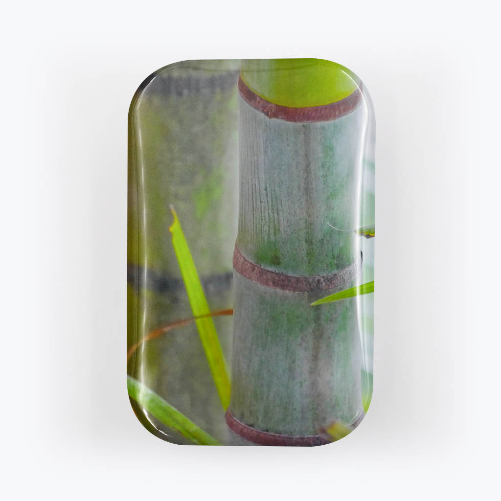 Kühlschrankmagnet "Bambus"-Magnete-Gieslind Brodde-UpH Kunstladen